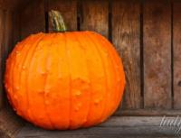 What does a pumpkin symbolize in a bouquet?