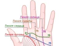 Life line and its meaning on both hands